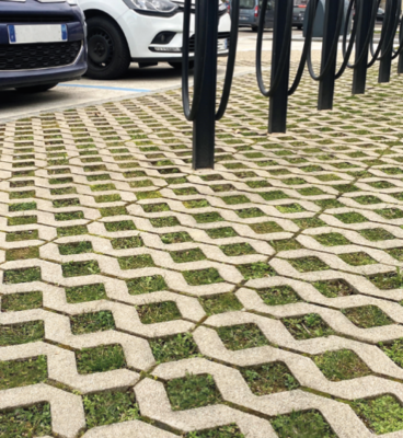 image de Grilles Gazon